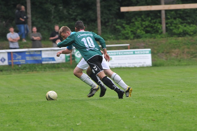 国际的桥梁 国际的桥梁